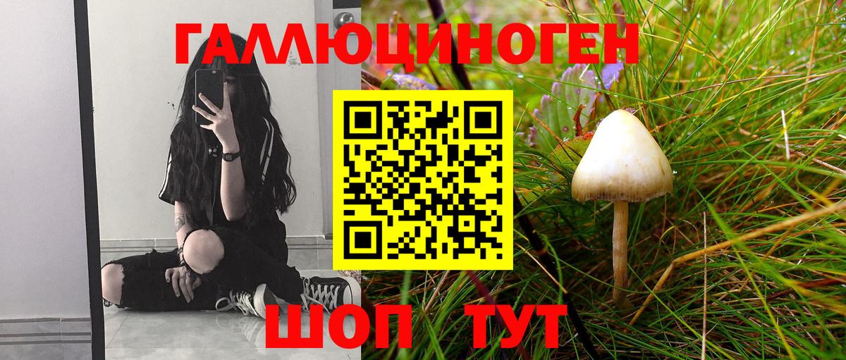 Псилоцибиновые грибы Magic Shrooms Ленинск-Кузнецкий
